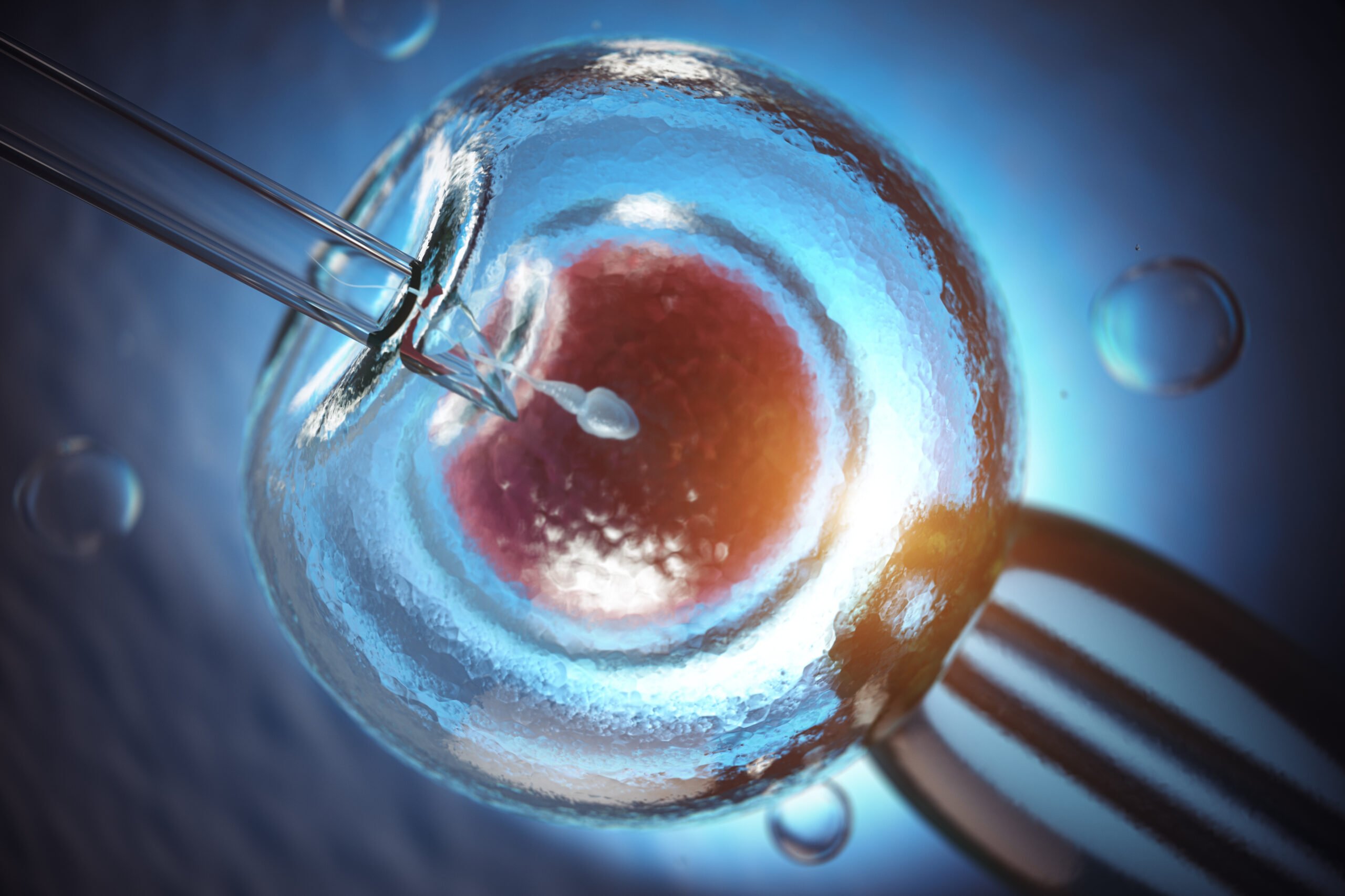 Artificial insemination. Fertilization of human egg cell by sperm. IVF in vitro fertilization. 3d illustration