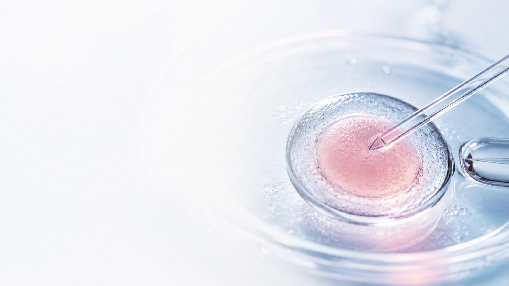 ivf.greece
